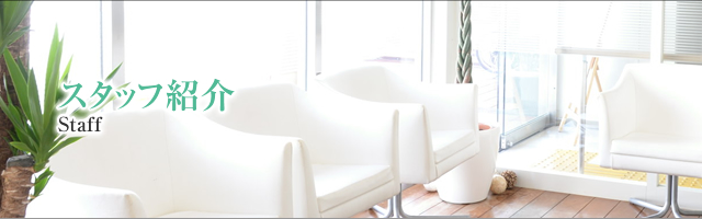 スタッフ紹介